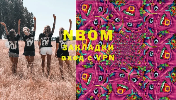 PSILOCYBIN Богданович