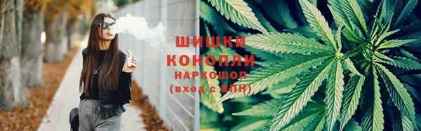 PSILOCYBIN Богданович