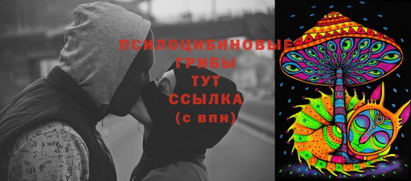 mix Богородицк